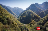 大熊猫国家公园内 一位老猎人的弥补｜图集