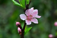 真正成大事的人，从不着急