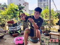 广西平南县：小盆景栽出好“钱”景