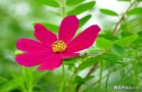 人到晚年，最好的活法：一动，一静，一放