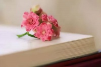 “女儿，你把房子过户给弟，赶紧办”女人：不可能