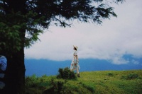 真正改变命运的不是道理，而是这些习惯