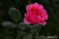 爱占便宜的人，往往有以下三个特征，是典型的“小人”