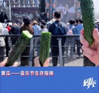 为什么年轻人去音乐节，都要带几根黄瓜？