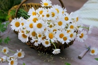 有一种人，情商很高，还喜欢抬杠