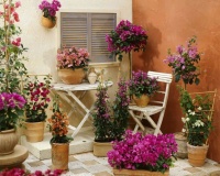 品读｜心用在哪里，哪里就有收获