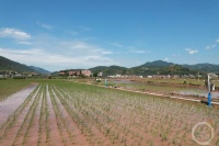 “盛夏”（71） | 上游主题摄影征稿作品展——谭昌藩作品