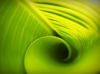 夜雨丨李江渝：回望青春（组诗）