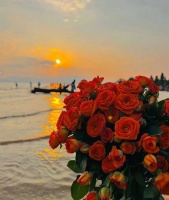 双子是个极端的人