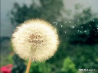 喜欢聊这两个话题的男人，人品都很一般