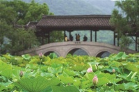 小荷已露“尖尖角”