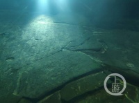 夜雨丨马援：渔家傲·观涪陵水下白鹤梁遗址（外一首）