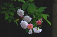 与人相处，永远不要打破这三样东西