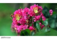 【2024届备考】高中语文新高考 I 卷理解性默写专题训练（2）