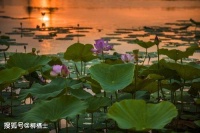 【古诗词鉴赏】唐代诗人 窦常《​北固晚眺》诗赏析