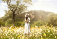 善良如果开不出花，那就让它长出刺