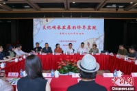 侨界人士话传统文化“出海”：要“装点”成国际性文化语言