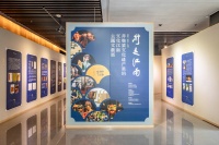 文化和自然遗产日｜从嘉昆太14种非遗项目，走进文化江南