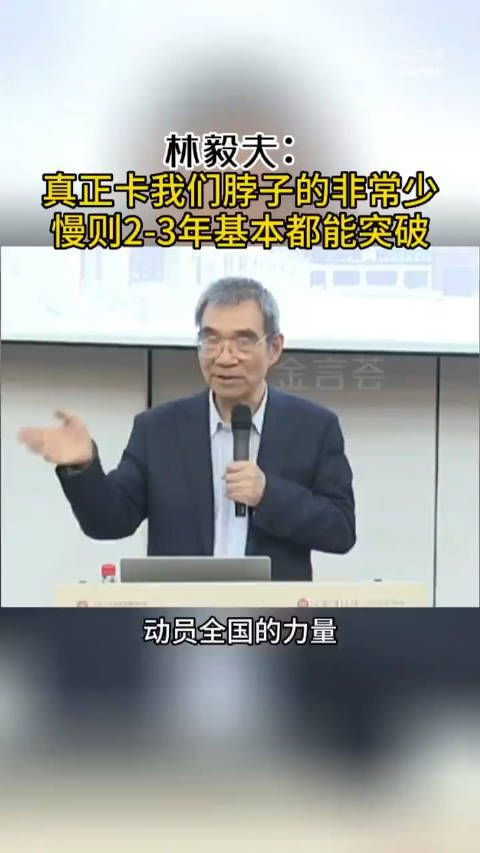 林毅夫：真正卡我们脖子的非常少……