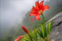 ​地理小补秘本足本公开之中卷