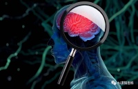 为什么大脑要抹除我们小时候的记忆？