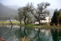 六十岁之后，回故乡吃一顿饭，就会明白以下“四个真相”