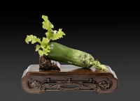 变平凡为神奇的“小白菜”