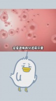白嫖的冷知识，不嫖白不嫖