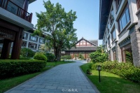 广东新兴有棵神奇的菩提树，惠能诞辰日落叶，释迦牟尼诞辰日发芽