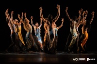 玛莎·葛兰姆舞团携经典剧目首次亮相羊城