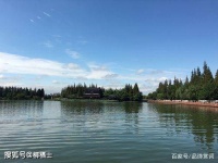 林逋湖上晚归，吟诵了一首佳作，写景如画，不愧是北宋的隐逸诗人