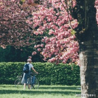 所有的白马王子，其实都是普通人