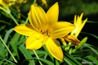 在面对这两种情况时，你若是能做到无动于衷，说明你活明白了