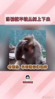 减什么肥，老祖宗辛苦从树上下来是为了让你天天吃绿叶的吗！
