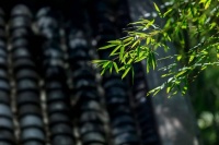 品读｜家乡的人们现在过得怎么样了？