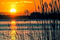 我遇见你，就像梦想遇见了光芒万丈