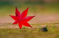 人到中年才顿悟，这四种亲人，比外人更可恨