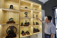 泰山文化“飞入寻常百姓家”