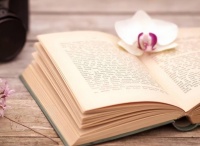 人到中年，不要跟一大群人一起办事