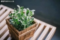 自私的男人，都是这模样的