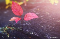 女人这一生中，所有的退路，都是钱给的