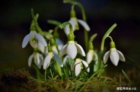 远离“为你好”的人，是一个人最大的明智