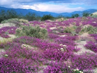 探索人生的意义与价值