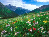 只要想着自己不输，就输不了