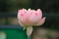 人老了，别跟这四种人翻脸，不然，日子会很不好过