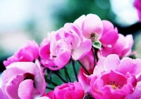 男人会如此对你，才是真的爱你入骨，他愿意永远做你的后盾