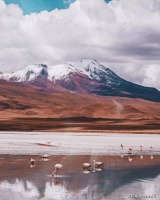 “聪明的人学方法，愚蠢的人照搬结果”