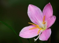 人生有四种苦，熬过去，你就赢了