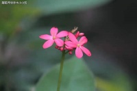 女人经常在朋友圈发这几样东西，说明她是低情商