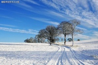 朋友这样对你，就是看不起你，不必走得太近
